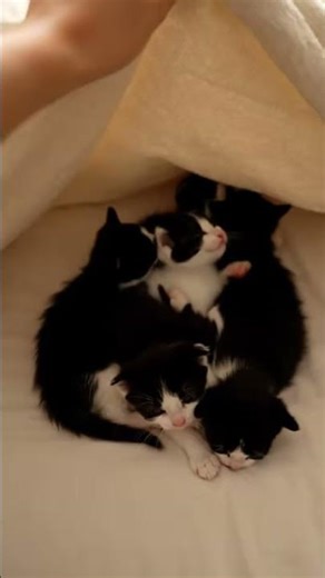 Peek under the blanket… a little surprise is waiting on the bed