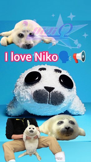 DIY Niko Seal Plushie - Handmade Crafts You’ll Love