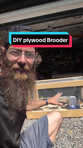 Here is an easy DIY chicken brooder for young or injured chickens, best is it makes more then one, you can almost make 3 from the window cut outs. #modernhomestead #homestead #diy #chickens #brooder #chicks #howto