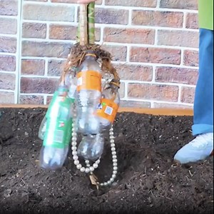 208K views · 333 reactions | Simple solutions for storage challenges | 5-Minute Crafts Men | Facebook