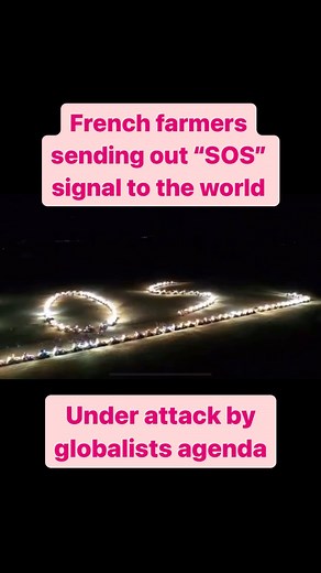 13K views · 3.9K reactions | No farmers, no food, no future. #governmentcorruption #resist #wakeup #riseup #awake #awaken #awakening #awakenotwoke #spreadtheword #questioneverything #truth #corrupt #corruption #truthseeker #wef #elites #globalist #globalistagenda #agenda2030 #agenda2030onu #agenda2030 #agenda2021 #farmer #farmers #nofarmersnofood #nofarmersnofoodnofuture #france #french #europe | Based4Ever Inc. | Facebook