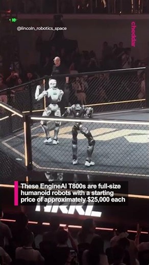 Those head kicks are actually so lethal😭🤖