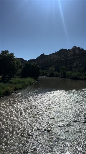 Animas River Day in New Mexico: Serene River Moments