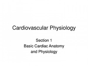 Cardiovascular Physiology - SlideServe
