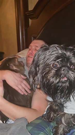 Adorable Monkey Shares Dog Bite Encounter