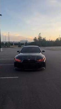 FREECODECAMP Coding Basics REVEALED#emoji #uwaie