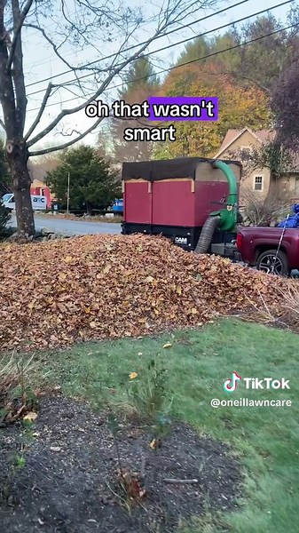 Fall Cleanup: Leaf Removal and Lawn Care Insights