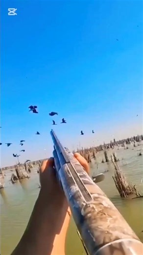 snow goose hunting #bird #hunting #foryou #wildlife #viralvideo