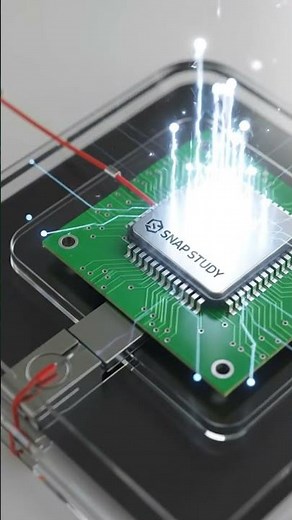 How Does a Digital Scale Measure Weight So Accurately? ⚖️💡