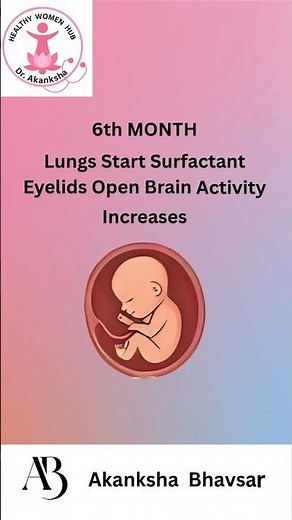 tal Development By Month | How Baby Grows In the Womb | Fetal Development Stages