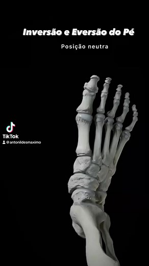 Inversão: rotação do pé na direção medial;Eversão: rotação do pé na direção lateral;Ocorrem em grande parte na articulação subtalar.#biomecanica #fisioterapia #inversao #eversao #fisio #fisioterapeuta #biomecanica | Fisioterapia Hospitalar