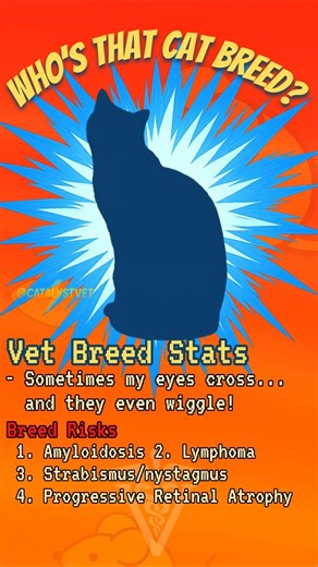 Who's that cat breed?! Ep. 7