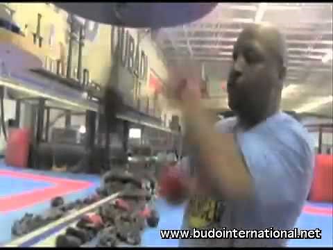 Mastering Boxing by Ray Mercer