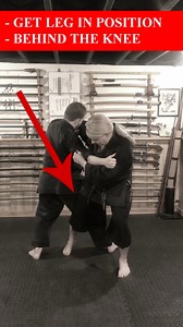 SOKE ANSHU Christa Jacobson demonstrates How To Do OSOTO GARI Leg Sweep in a FIGHT ⛩️ #SokeAnshu #Jujutsu #Jujitsu #JiuJitsu #Judo #Aikijujutsu #Aikido #MartialArts #Budo #Taijutsu #AnshuChristaJacobson | Anshu Christa Jacobson