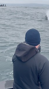 An orca sighting is one of those moments you never forget.⚡️�You’ll see the water break—and suddenly, there they are. Powerful, graceful, and shockingly intelligent. People gasp, cheer, sometimes even cry. Watching them hunt and interact in the wild is like seeing the ocean come alive.It’s hard to believe that these stunning creatures are the ocean’s top predator—even above great white sharks. Nature is humbling like that.Want to experience it for yourself? 🐋�Book a private expedition or save y