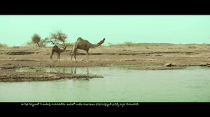 2K reactions · 431 shares | Our camels are back in a new avatar and this time they’ve a message for parents & their kids. Watch Now! | Bisleri | Facebook