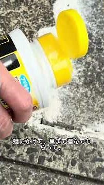 [Mass Infestation] Ant Extermination