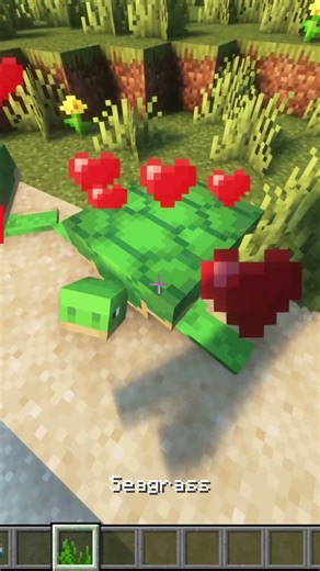 How to get a Turtle Shell