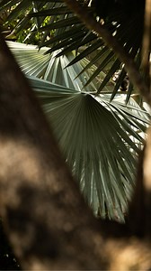 Days made for discovery. At Little Palm Island, every experience is crafted to awaken wonder, from tucked-away retreats to encounters with the island’s wildlife, creating moments that linger long after your stay. | Little Palm Island
