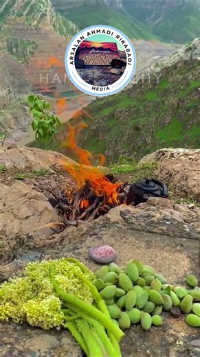 Medya Arsalan Ehmedî Rîkabadî#Rojhilat#Rojava#Başûr#Bakur#Kurdistan_Xaka_Hêvî_û_Berxwedan ✌️✌️