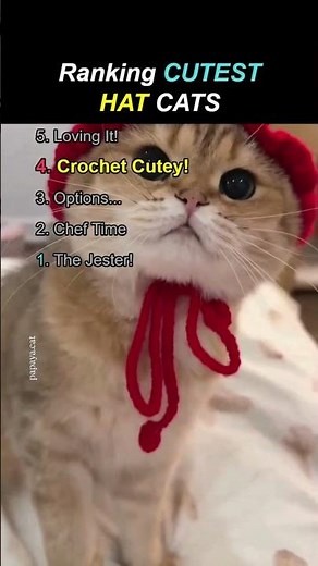 Ranking Cutest Hat Cats 👒 🐈 #cats