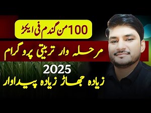 Latest Wheat Production Technology 2025-26.