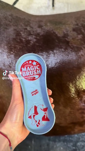 The Magic Brush for Equestrian Grooming