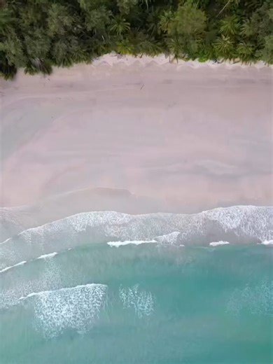 最高www #shorts #おもしろ #カレンダー #祝日 #2026