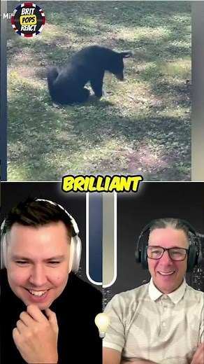 Brits Shocked at Bears in North Carolina!