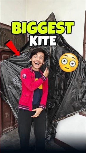 Biggest Kite 💀😱 | Mini Vlog #shorts #minivlog #ashortaday #vlog #tranding #cats #cat