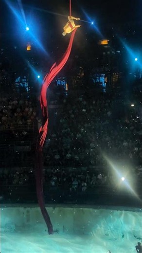 The Most Mesmerizing Ribbon Dance ✨