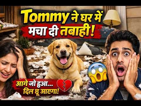 Tommy ने घर में मचा दी तबाही 😳🐶” | Tommy The Lovely Dog | Family Drama | Emotional Dog Story