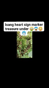 Isang heart sign marker treasure under 🤑😱😳🥶.. #yamashitatreasurerecovery #yamashitatreasuresite #ngthexploration #treasurehuntingthexploration #cttocredittotherightfulowner #jpexploration #ctto #YamashitaTreasure #treasure #gold | New Generation Treasure Hunter's