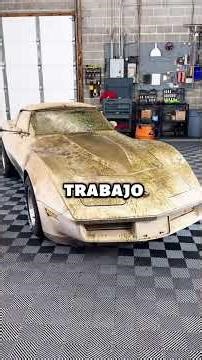 Como desarrollador de software, ¿con qué frecuencia dejas una puerta trasera en tu código?