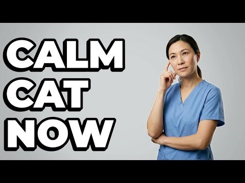 How Do I Stop My Cat's Redirected Aggression?