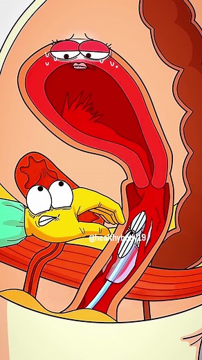 What Happens During Postpartum Hemorrhage?#animation #2dshow #fypシ #funny #foryou #health