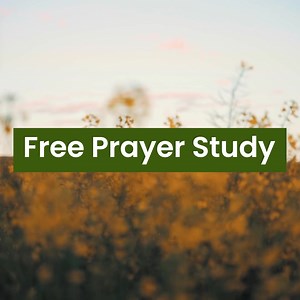 176 reactions · 18 shares |  Join hundreds in experiencing...