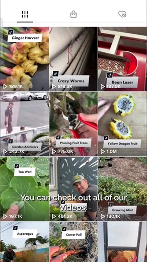 4.3K views · 47 reactions | Learn how growing your own groceries saves money, adds freshness to every meal, and turns your backyard into the ultimate farmers market.  | All About Gardening | Facebook