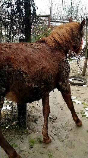 Videoclipuri postate de danituza2 (@danituza2) cu sunet original - Răzvan Hodor