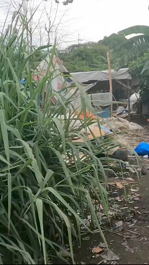 29K views · 520 reactions | SLUM LIFE in PHILIPPINES | Walking Hidden Life in Rizal #4k #travel #poverty Watch Full Video Walk Here: https://youtu.be/uADAH__2fvE | Larryph Walking Official | Facebook