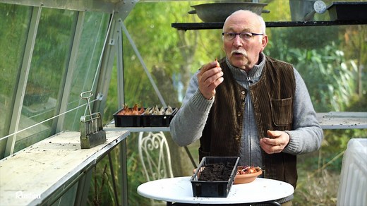 67K views · 964 reactions | Comment démarrer la culture des oignons, ail et échalotes quand le sol est impratiquable à cause du froid ou d'un excès d'humidité ? | Rustica | Facebook