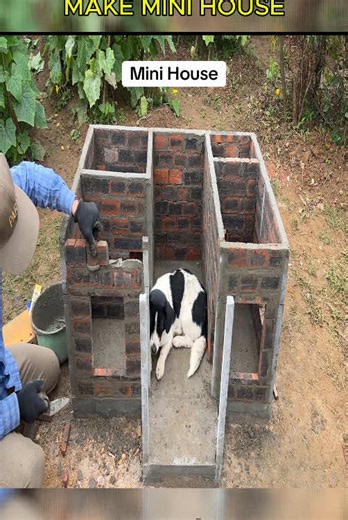 Mini House Construction Guide: Design and Build Tips