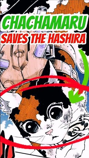 Chachamaru saves the Hashira from Death #demonslayer #kimetsunoyaiba
