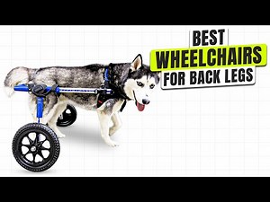3 BEST Dog Wheelchair for Back Legs