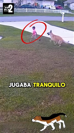 This dog🐶 saved a little girl 👧 #viral #amazing