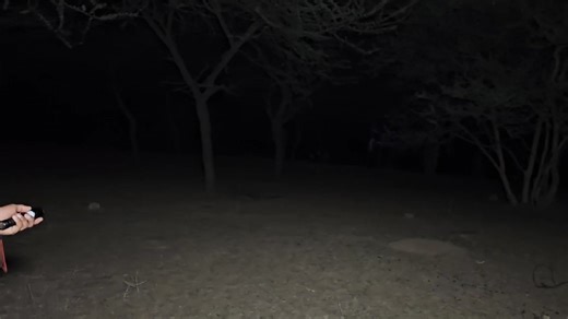 The CREEPIEST Night Of My Life In Most Haunted Forest (dont go here ) #scary #forest #viral #reels Part 29 | Sk Haunted Vlogs Official | Facebook