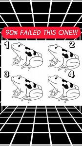 Can YOU spot which frog is the odd one out? #quiz #QuizTime #fun #noblequiz #fblifestyle | iPhone Series