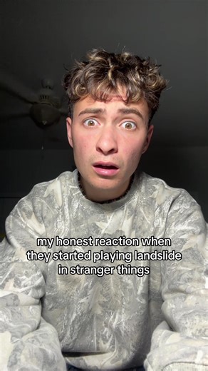 #fyp #strangerthings #viral #meme #landslide