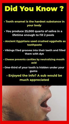 Your Teeth Are Harder Than Steel (And More Unique Than Fingerprints)