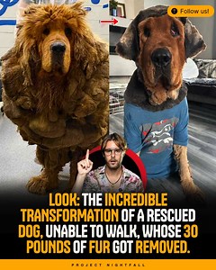 Project Nightfall on Reels